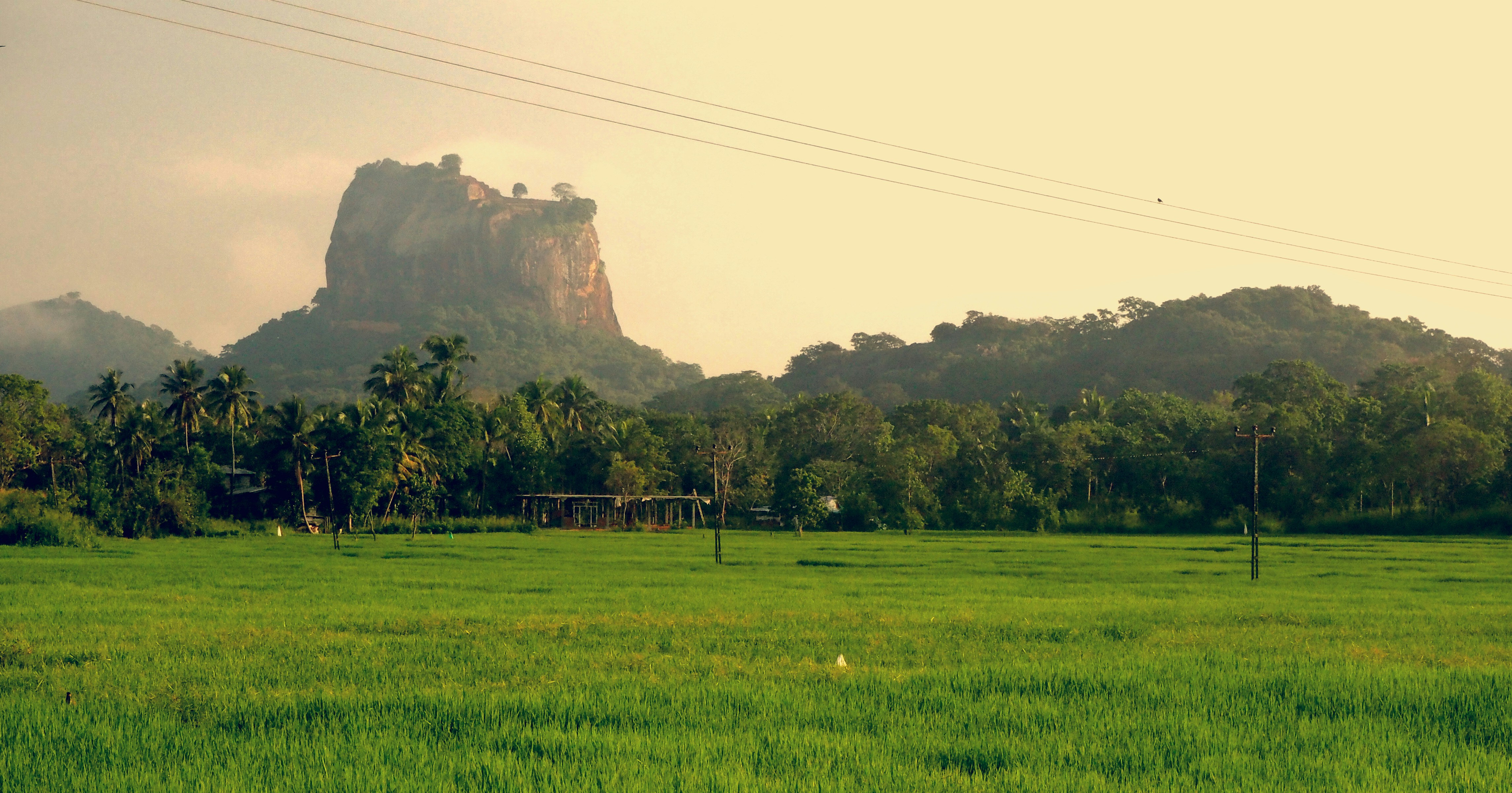 Sigiriya Rock & Dambulla Caves
